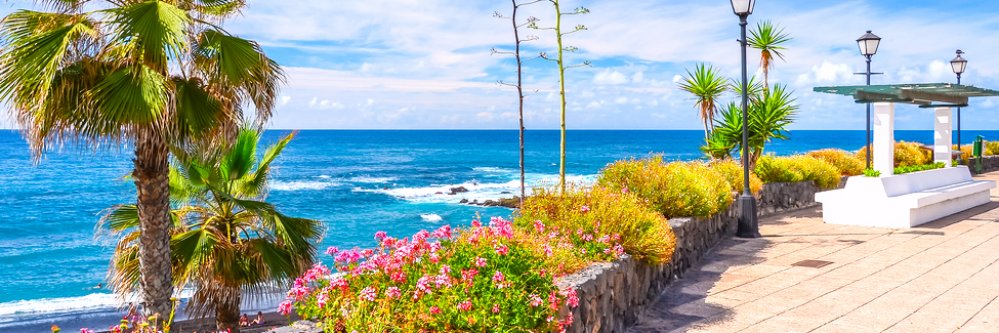 Descubre Tenerife con Media Pensión (Canarias)
